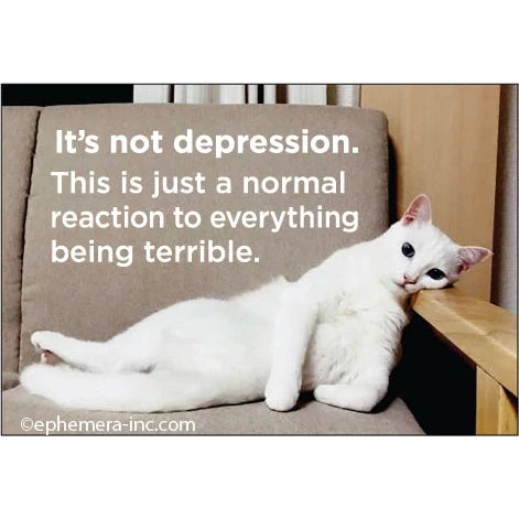 Fun Magnets Rectangle