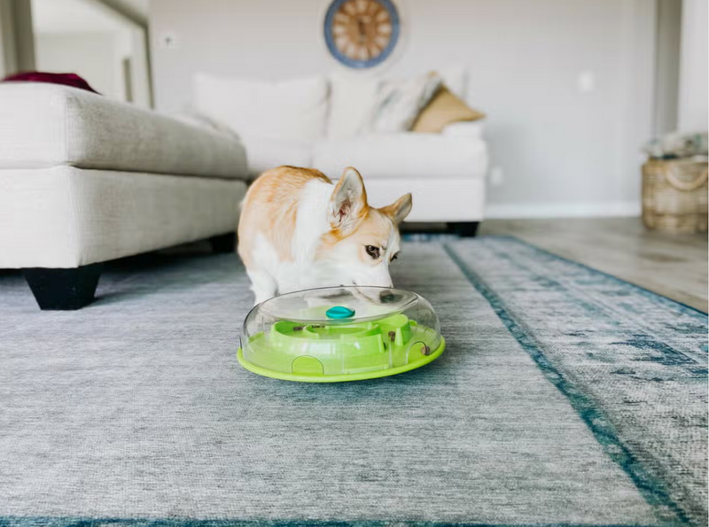 Nina Ottosson Wobble Slow Feeder Bowl Dog Game-Level 1