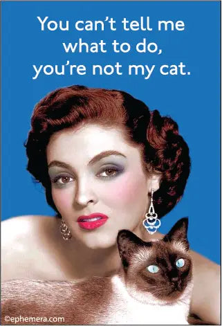 Fun Magnets Rectangle