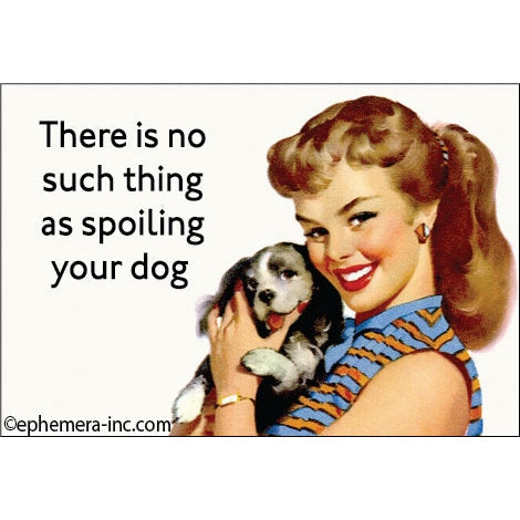 Fun Magnets Rectangle