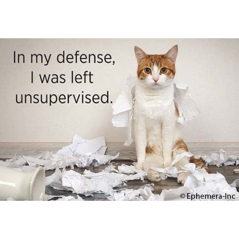 Fun Magnets Rectangle