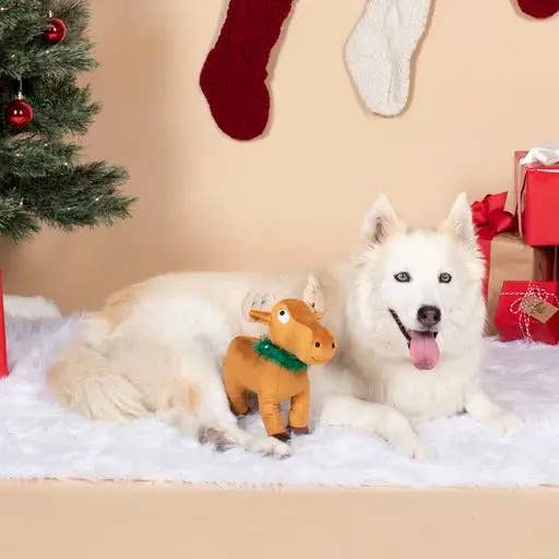 Merry Chrismoose-Plush Dog Toy
