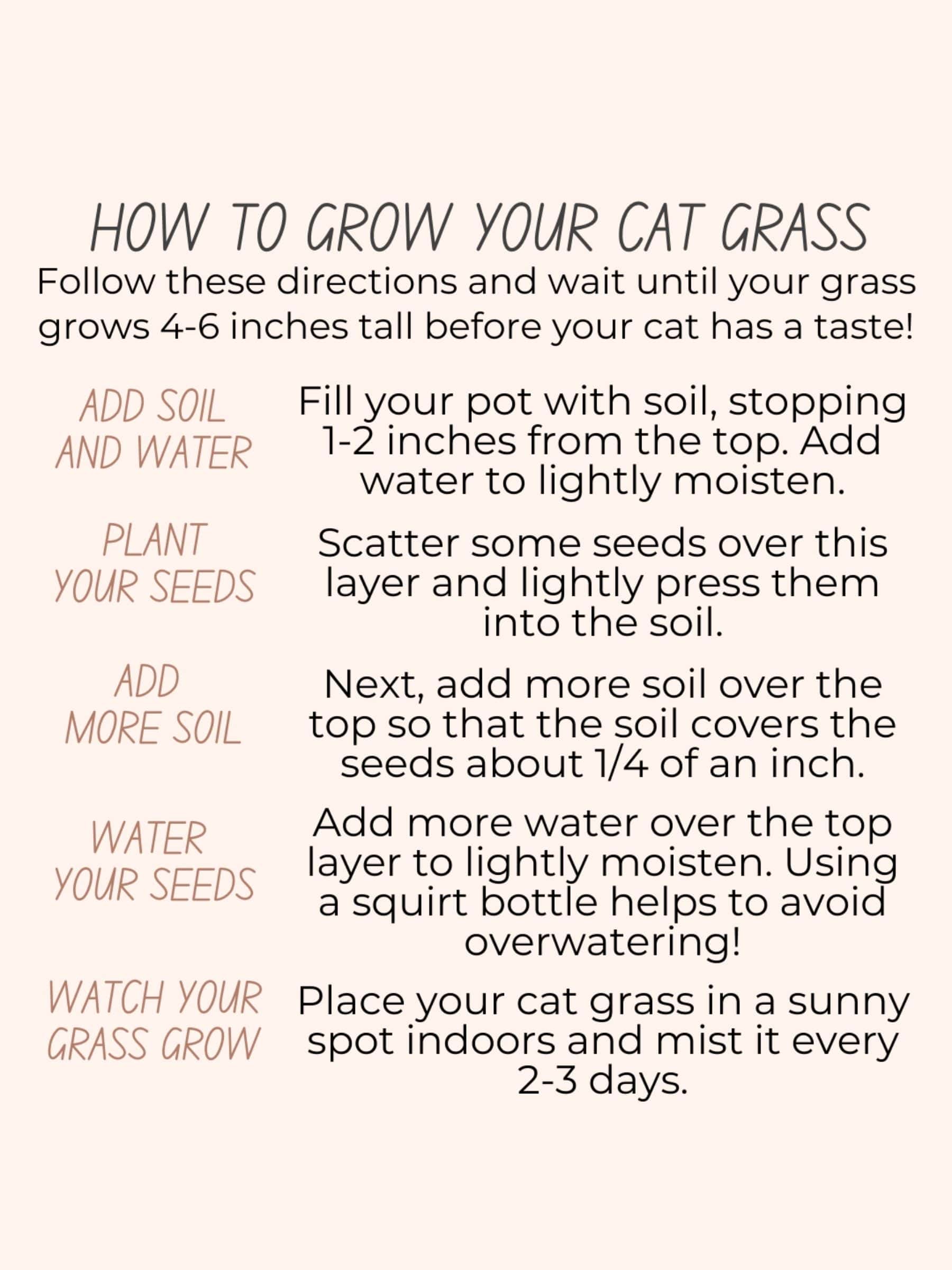 Illustrated instructions on how to grow cat grass, step-by-step guide for cat grass growing kits with soil, seeds, and watering tips.