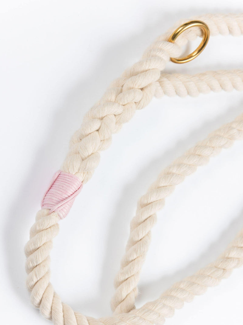 Beige braided dog leash with a gold clip and pink whipping on a white background