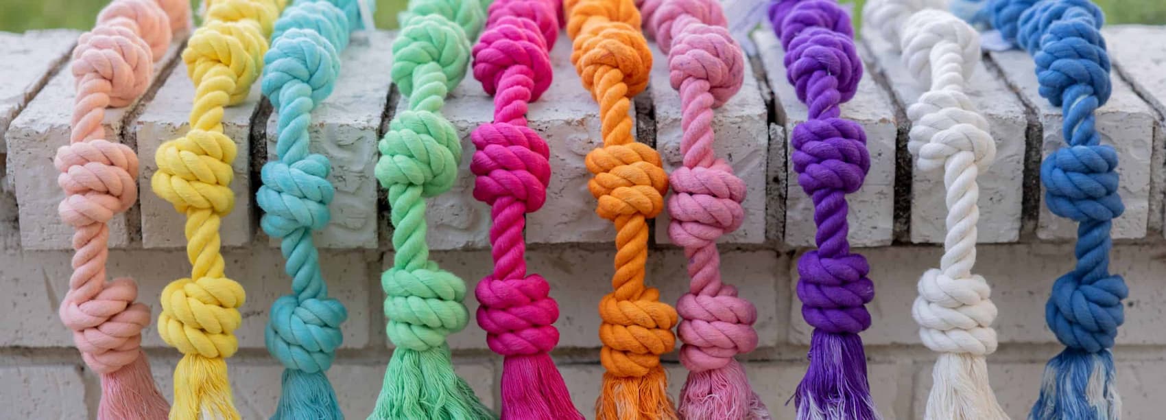 Colorful dog rope toys arranged on a wooden surface