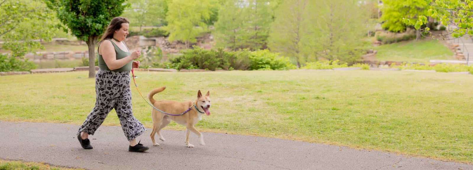 A woman walking a tan mixed-breed dog on a colorful rainbow rope leash in a grassy park.