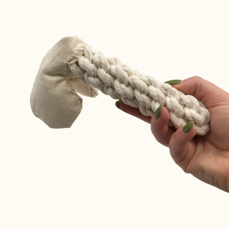 Natural cotton rope dog toy shaped like a penis, with a stitched canvas tip and braided handle for durability and grip.