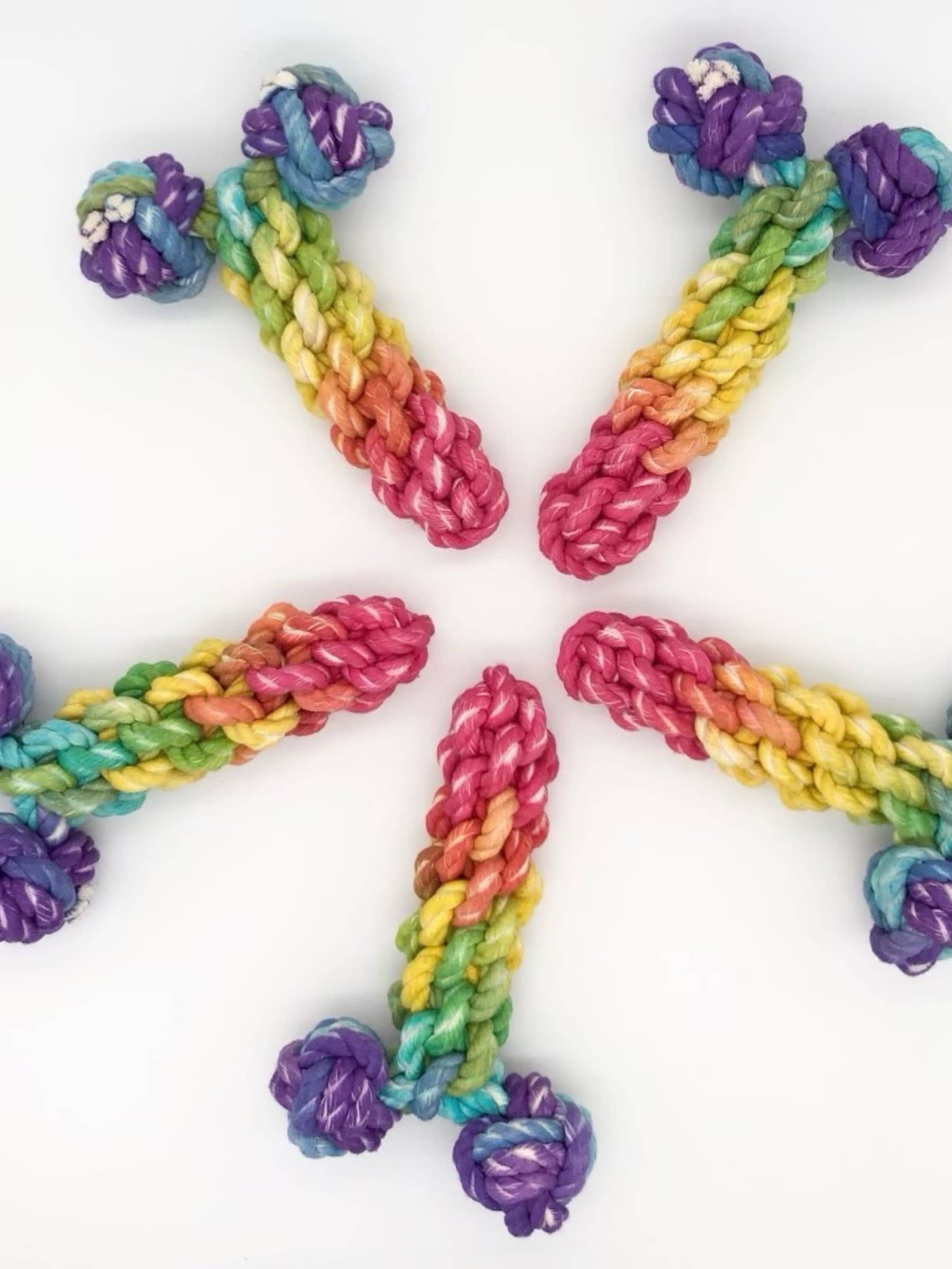 Five rainbow-colored rope dog toys shaped like penises arranged in a circular starburst pattern, each featuring braided cotton rope with knotted ends for chewing and durability.