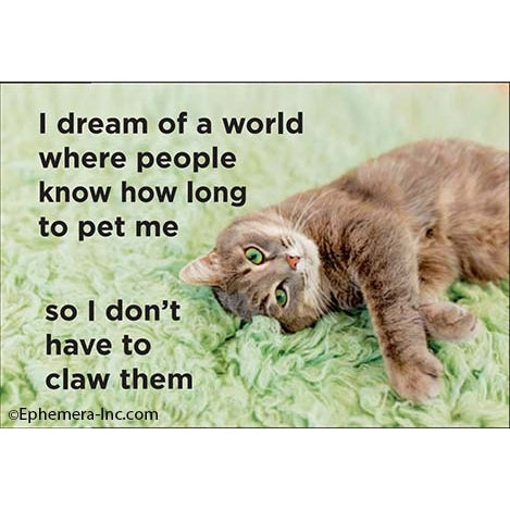 Fun Magnets Rectangle