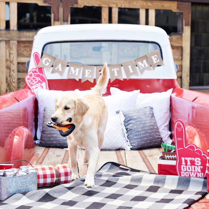 Play Like A Champion - Durable Plush Toy