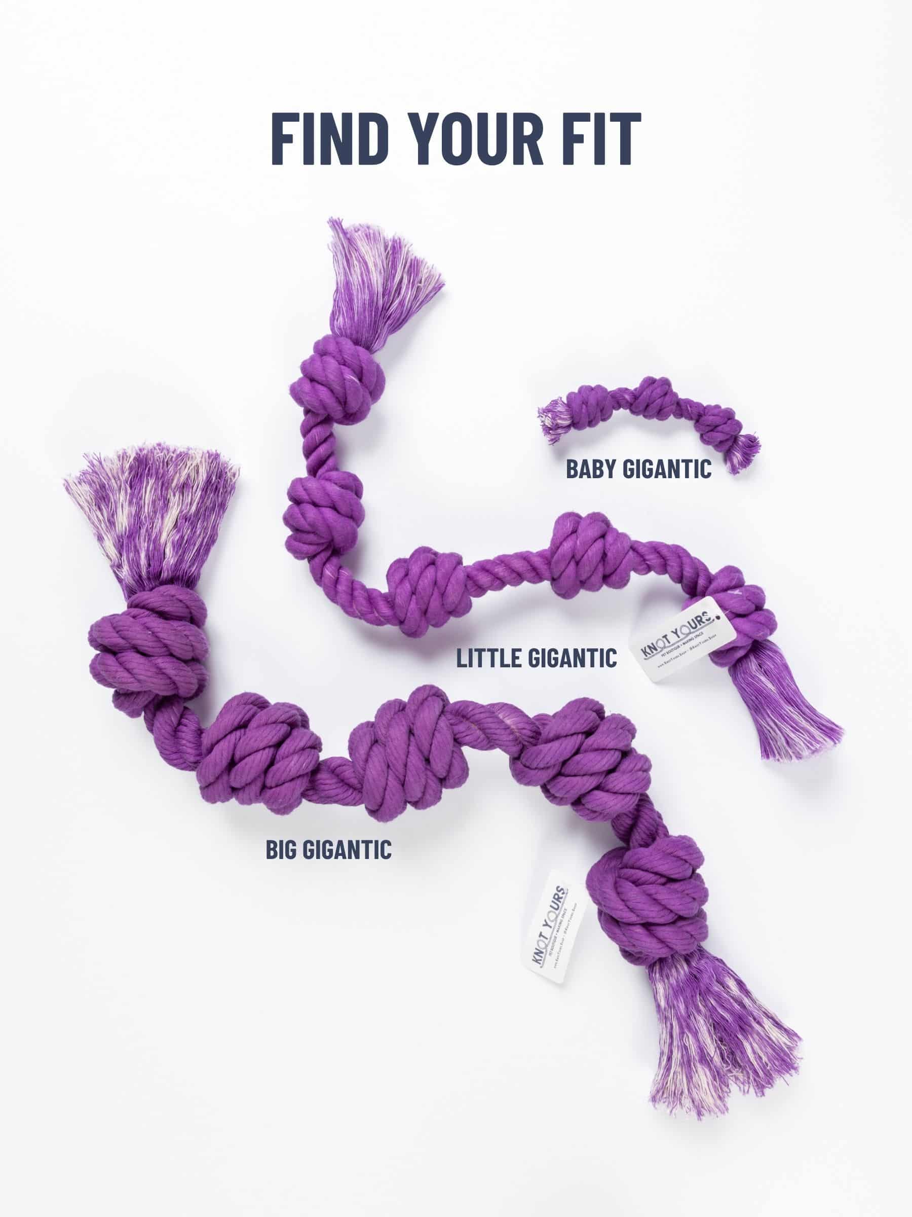 Purple dog rope toy with size labels on a white background