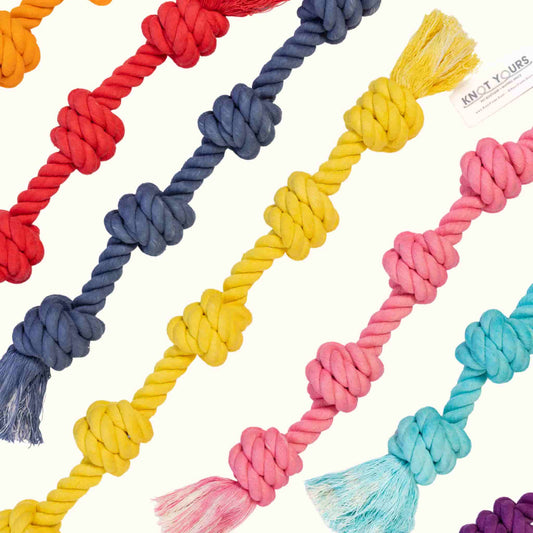 Diagonal flat lay of colorful dog rope toys in yellow, red, navy, purple, pink, and aqua, each with multiple knots and frayed tassels at both ends.