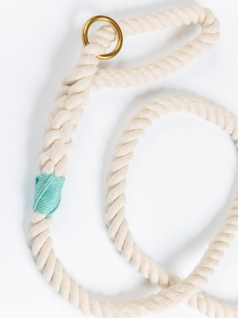 Close-up of custom made natural rope dog leash with teal whipping detail and brass clasp.