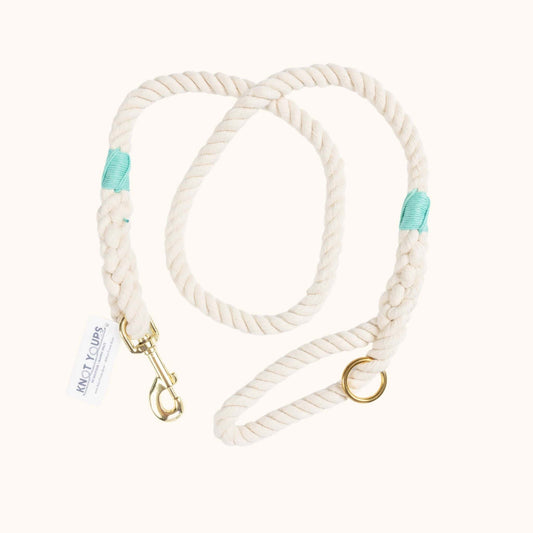 Custom natural rope dog leash with turquoise whipping detail and brass clasp.