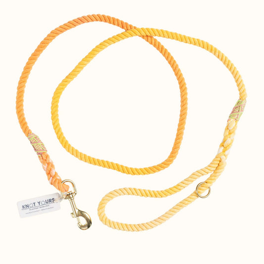 Yellow dog leash with gold clasp on a white background