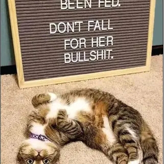 Fun Magnets Rectangle