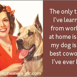 Fun Magnets Rectangle