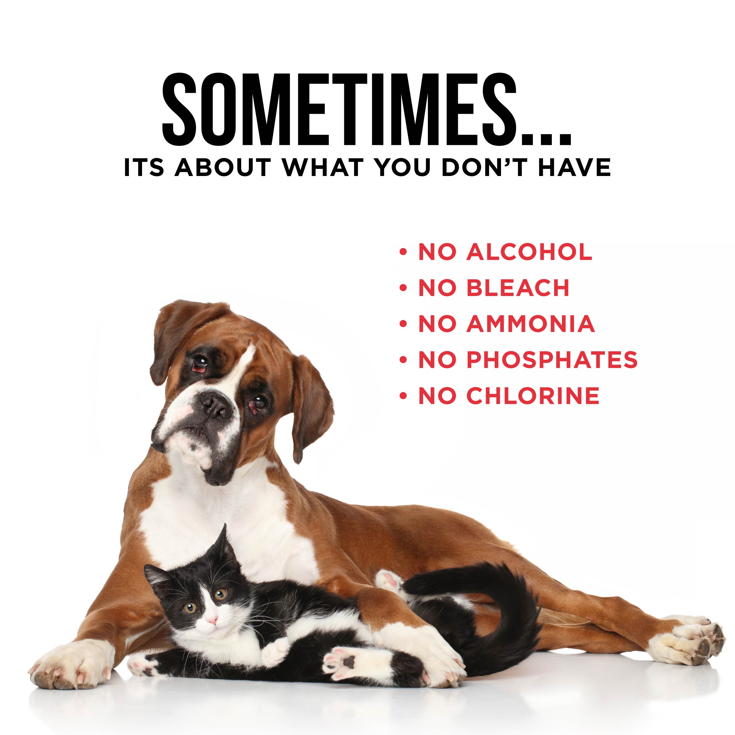 The Only Pet Stain & Odor Remover You Need