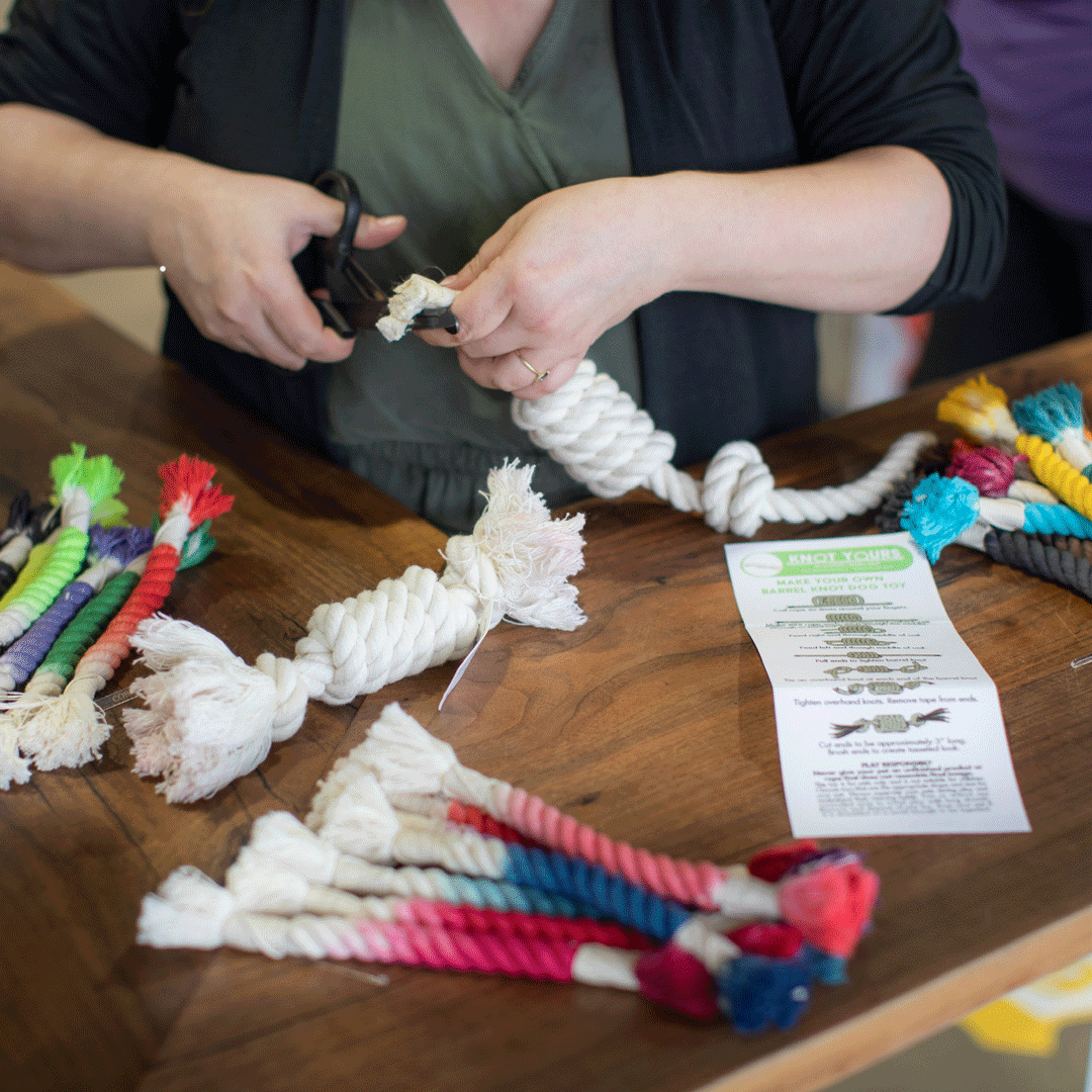 Workshop at Dogtopia! Knot Your Own Dog Toys