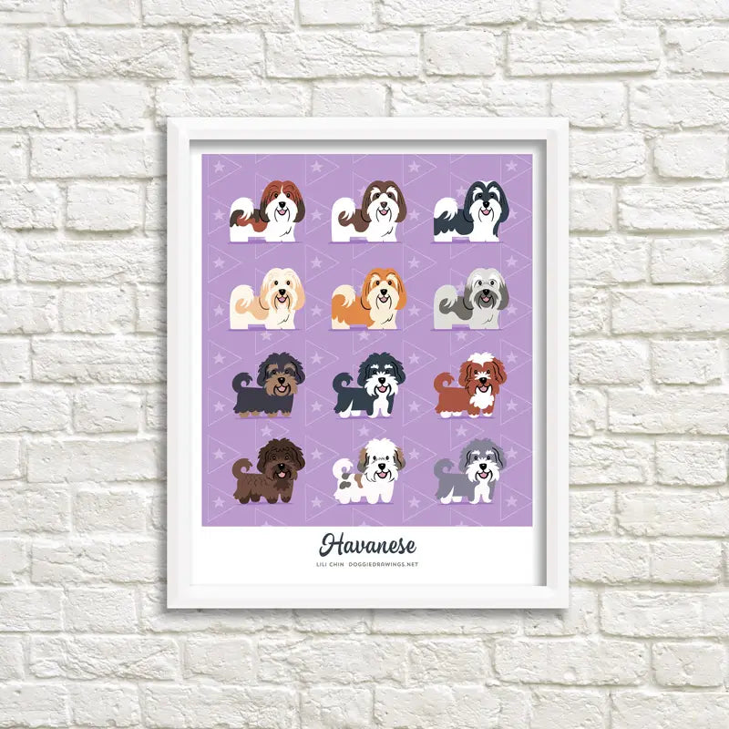 Cat and Doggie Art Print Drawings